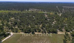 Vente Terrain Melides