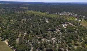 Vente Terrain Melides