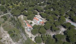 Vente Terrain Melides