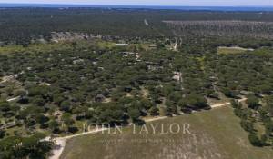 Vente Terrain Melides
