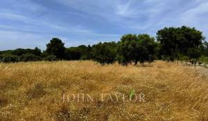 Vente Terrain Melides