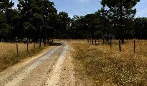 Vente Terrain Melides