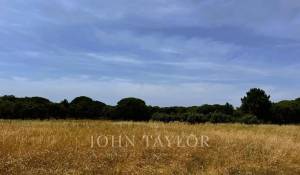 Vente Terrain Melides