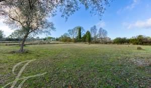Vente Terrain Mouans-Sartoux