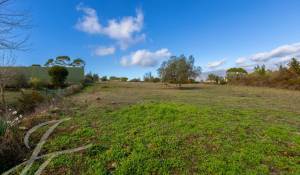 Vente Terrain Mouans-Sartoux