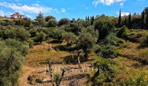 Vente Terrain Mouans-Sartoux