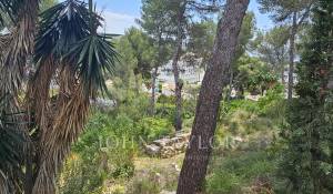 Vente Terrain Peguera