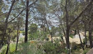 Vente Terrain Peguera