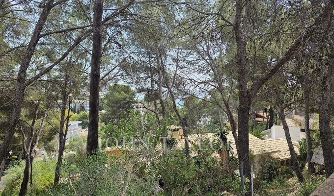 Vente Terrain Peguera