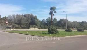 Vente Terrain Santa Ponsa