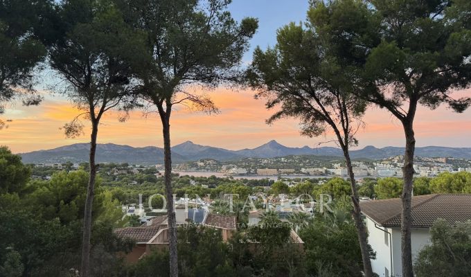 Vente Terrain Santa Ponsa