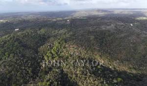 Vente Terrain São Francisco da Serra