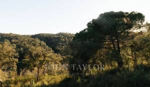 Vente Terrain São Francisco da Serra