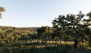 Vente Terrain São Francisco da Serra