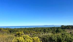 Vente Terrain Sesimbra