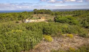 Vente Terrain Sesimbra