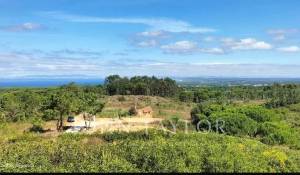 Vente Terrain Sesimbra