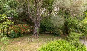 Vente Villa Antibes