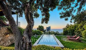 Vente Villa Beausoleil