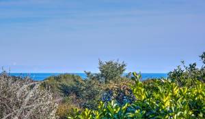 Vente Villa Biot