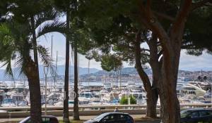 Vente Villa Cannes