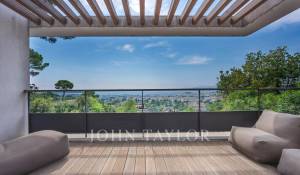 Vente Villa Cannes