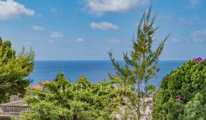 Vente Villa Cap-d'Ail