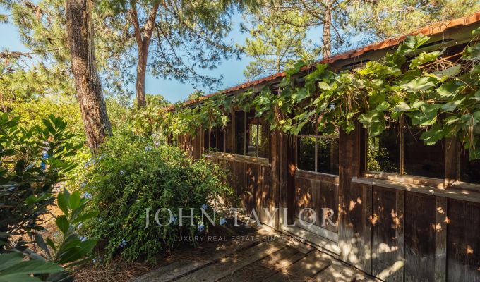Vente Villa Cap-Ferret