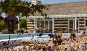 Vente Villa Carvalhal