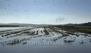 Vente Villa Comporta