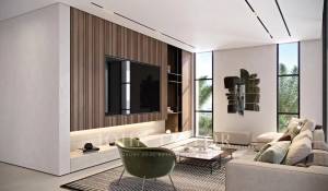 Vente Villa Downtown Dubai