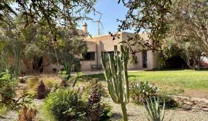 Vente Villa Essaouira