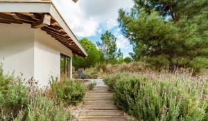 Vente Villa Grândola e Santa Margarida da Serra