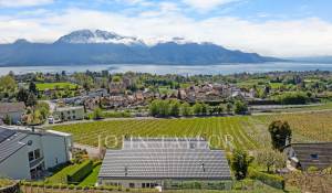 Vente Villa jumelée Chailly-Montreux