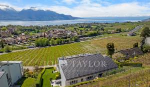 Vente Villa jumelée Chailly-Montreux