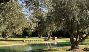 Vente Villa Marrakech