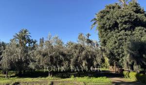 Vente Villa Marrakech