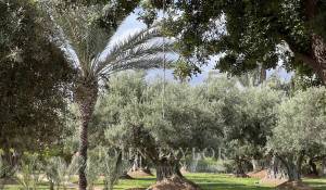 Vente Villa Marrakech