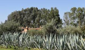 Vente Villa Marrakech