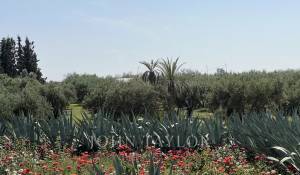 Vente Villa Marrakech