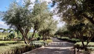 Vente Villa Marrakech