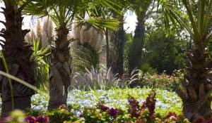 Vente Villa Marrakech