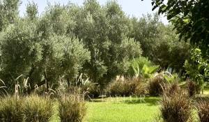 Vente Villa Marrakech
