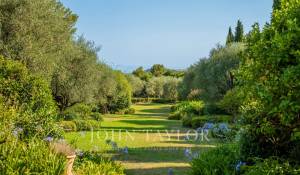 Vente Villa Mougins