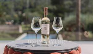Vente Villa Mougins