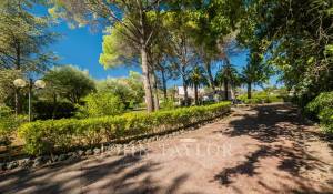 Vente Villa Mougins
