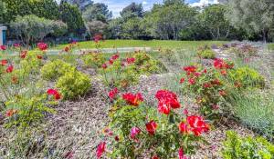 Vente Villa Mougins