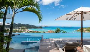 Vente Villa Saint-Barthélemy