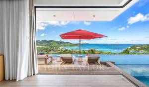 Vente Villa Saint-Barthélemy
