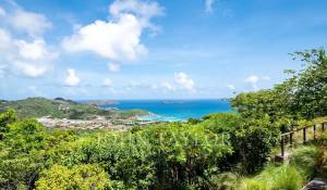 Vente Villa Saint-Barthélemy